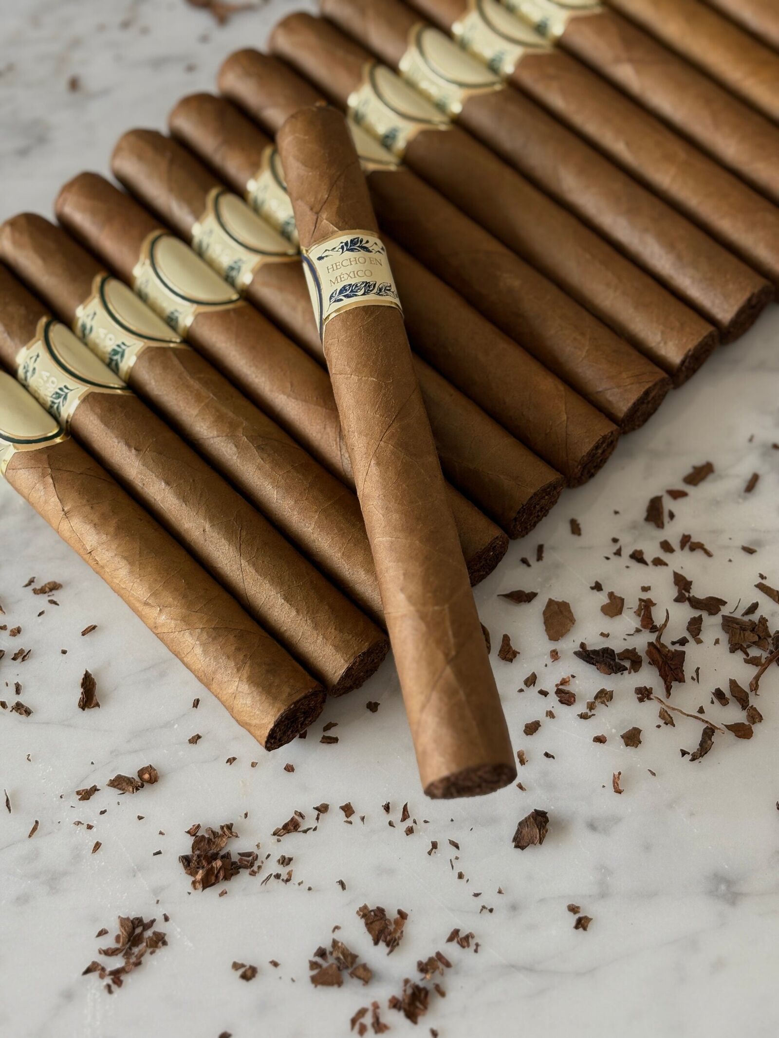 Churchill, imagen 3